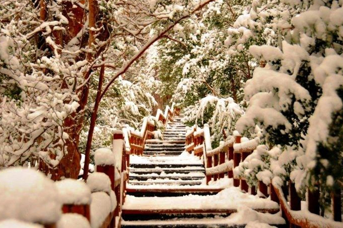 O que Fazer em Bariloche no Inverno sem Ser Clichê